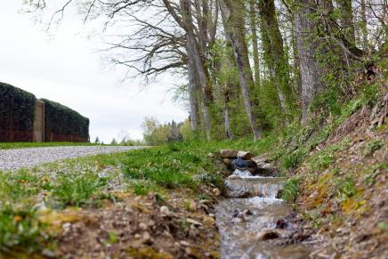 Wasser fliesst im Bach